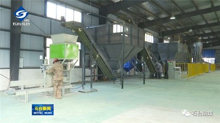 我縣首家生物質顆粒項目正式投產，開啟綠色燃料新篇章